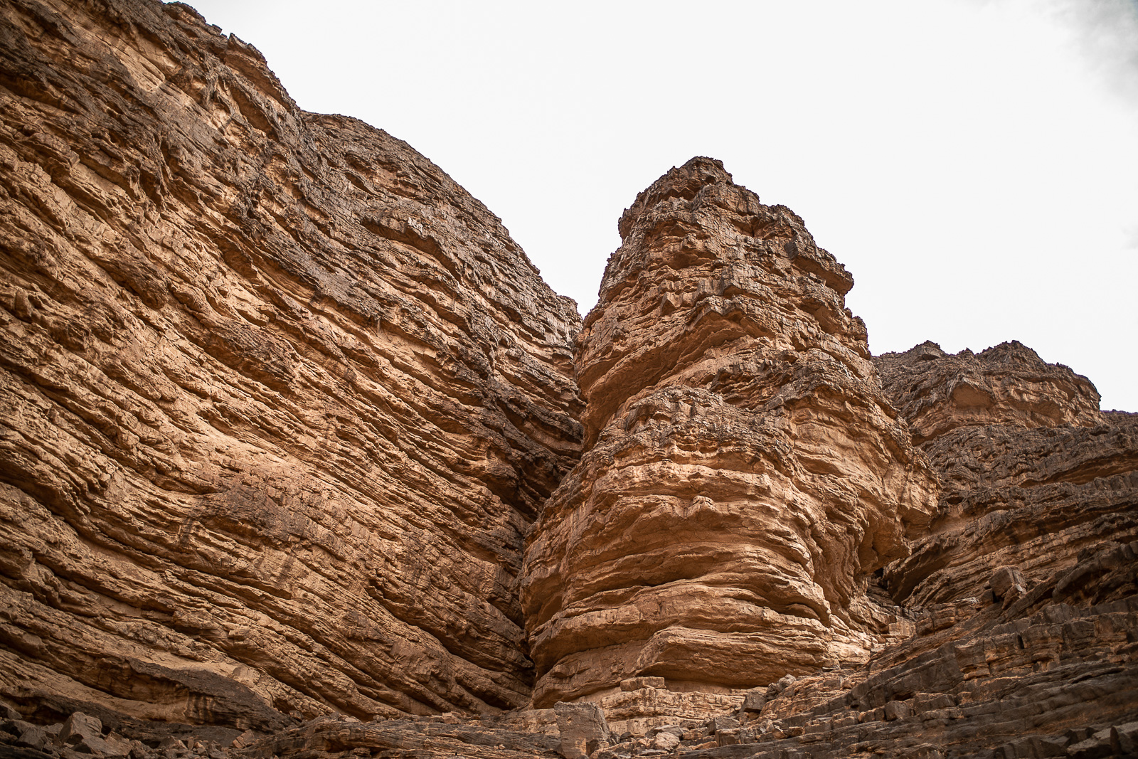 Human & Nature  outoftime 115